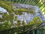 image of grave number 290653